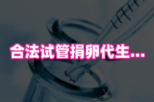 821孕网 3